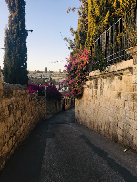 Streets of the Old City