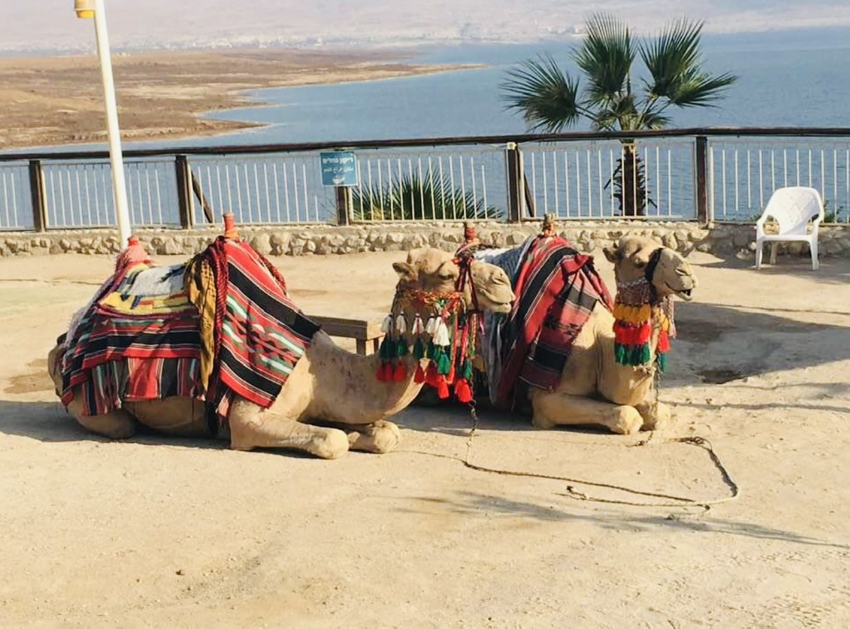 Cultural Experiences